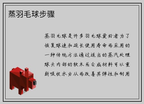 蒸羽毛球步骤